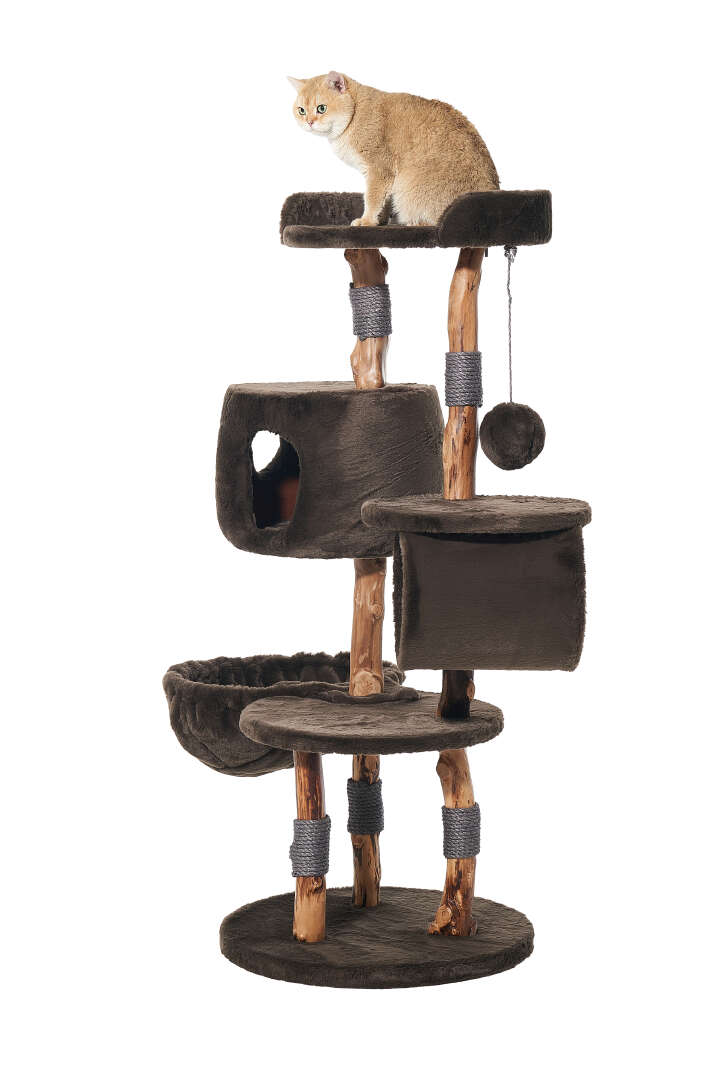 Nobby Kratzbaum Gena